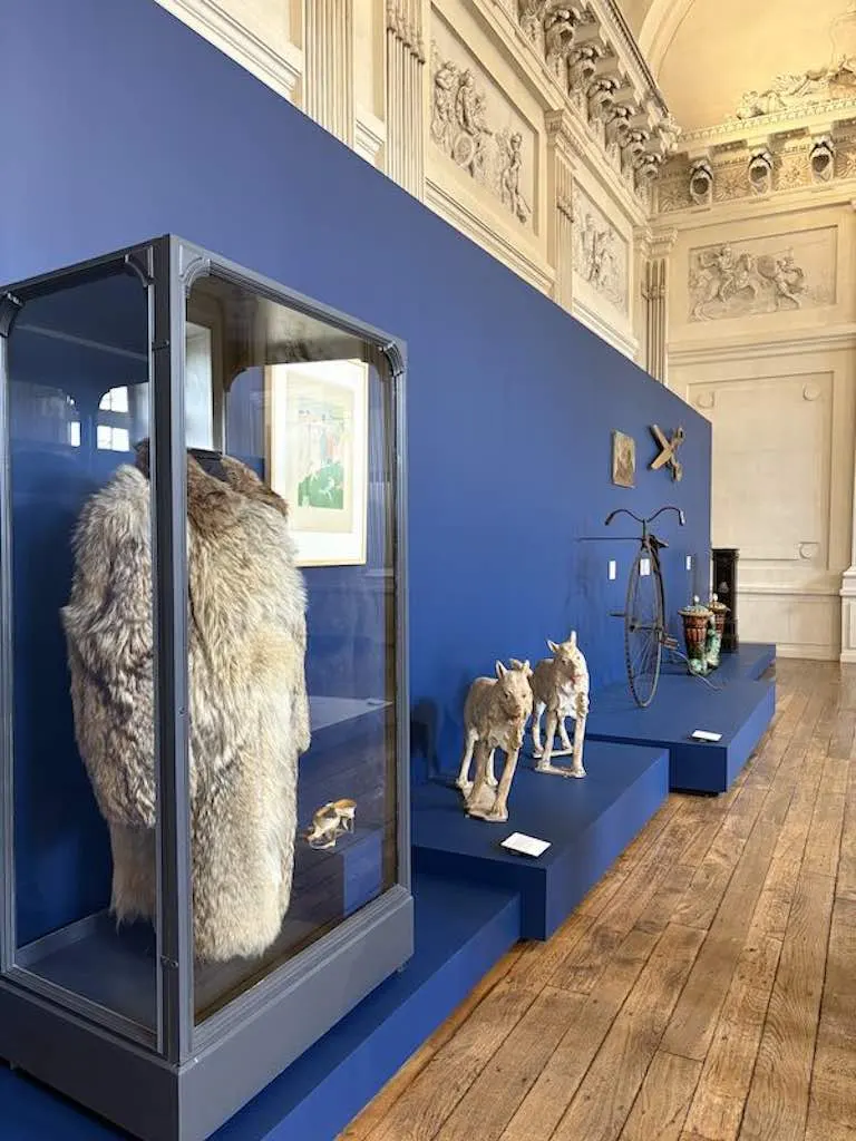 Exposition muséale avec un manteau de fourrure dans une vitrine, deux sculptures d'animaux, une vieille bicyclette avec des paniers, et des œuvres d'art encadrées exposées contre un mur bleu dans la salle d'exposition ornée de l'Hôtel de Harlay.